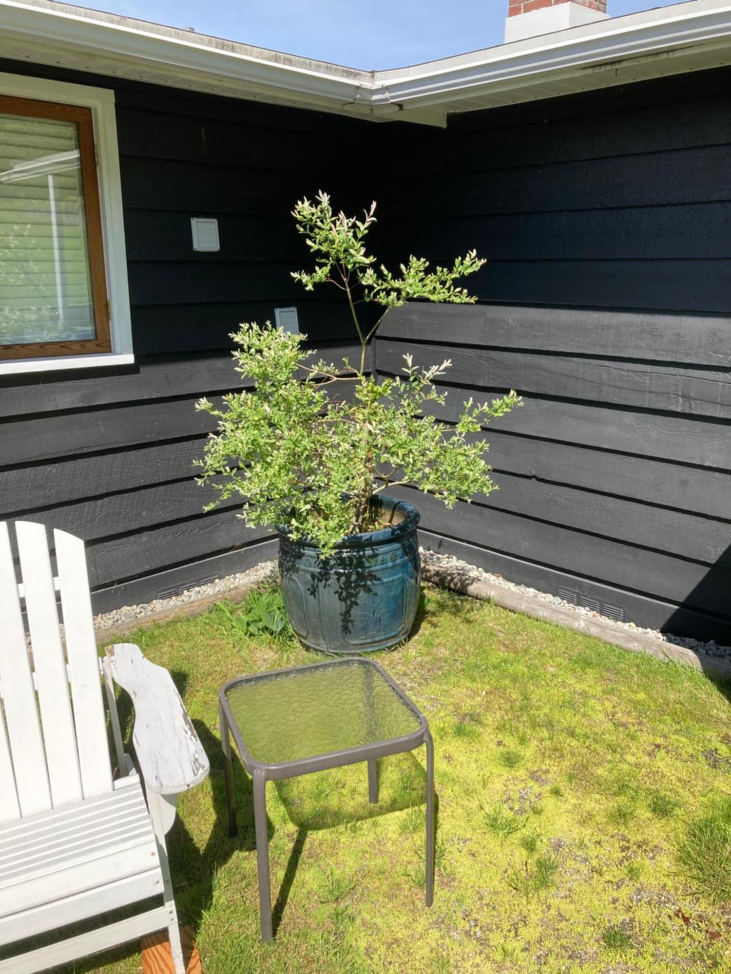 Rent My Studio Powell River Zewnętrze zdjęcie